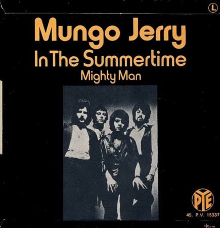 Mungo Jerry - In The Summertime