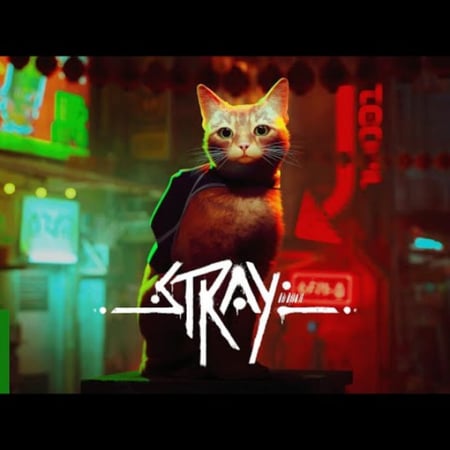 Stray حساب مشترك xbox
