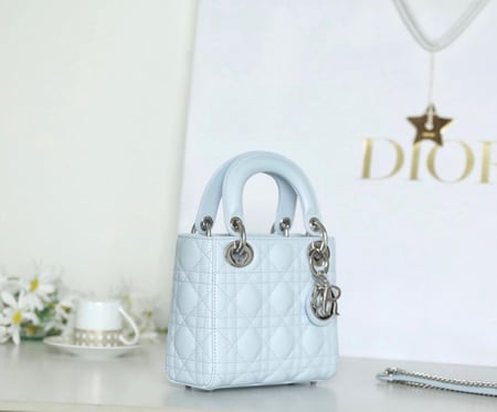 حقيبة ليدي ديور مقاس 17