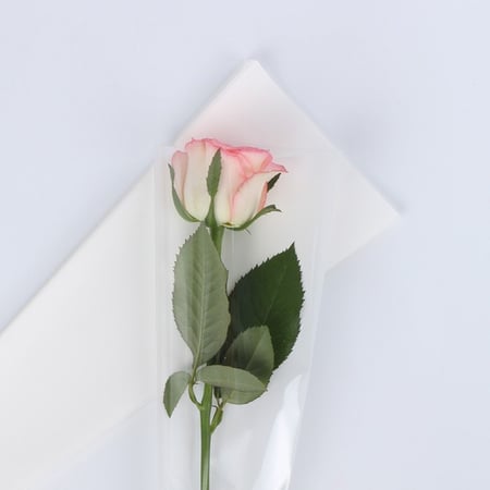 تغليف ورد مفرد (50حبه)