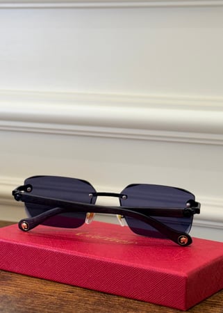 نظارة كارتير مع الملحقات