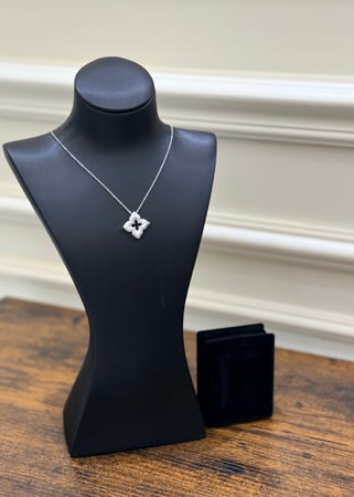 باقة ورد فخمة & قلادة