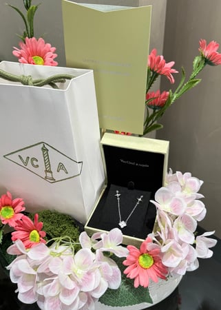 تنسيق فخم و قلادة فان كليف