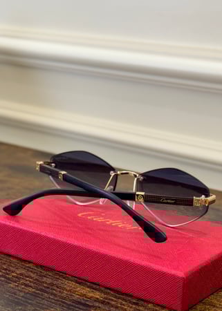نظارة كارتير مع الملحقات 1