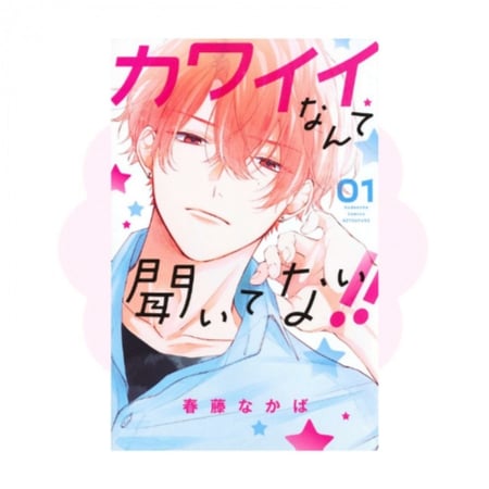 Kawaii Nante kiitenai Manga Collection