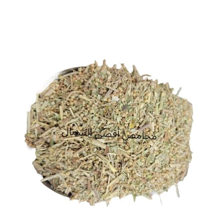 عشبة الشيبي الأفريقية