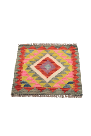 إكليم كوستر ( متنوع ) - كوسترات