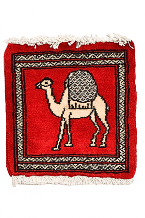 كوستر كلاسيكي