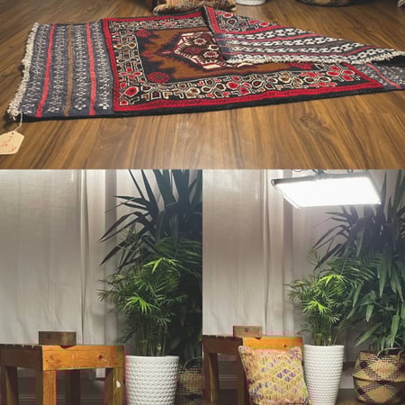 بساط إكليم حكيم العناية