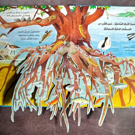 بكج ( الموسوعة التعليمية ثلاثية الابعاد البرية +المحيط)