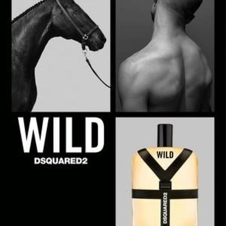 عطر وايلد ديسكوارد² او دو تواليت 100 مل