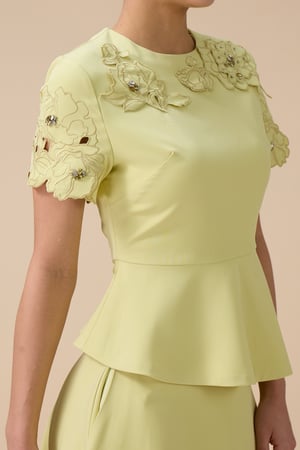 طقم تنورة ميدي أخضر فاتح بتفاصيل زهور ثلاثية الأبعاد