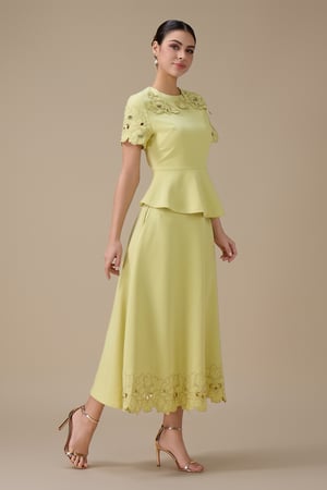 طقم تنورة ميدي أخضر فاتح بتفاصيل زهور ثلاثية الأبعاد