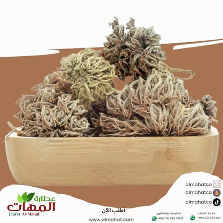 عشبة كف مريم _ وزن اختياري