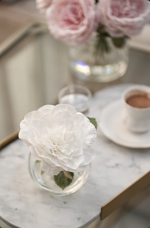 بيونيا أبيض | ملمس طبيعي