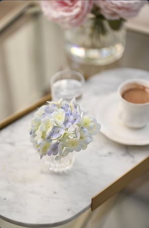 هدرنجا أزرق سماوي | ملمس طبيعي