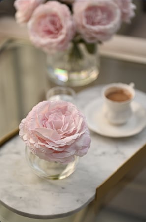 بيونيا وردي فاتح | ملمس طبيعي