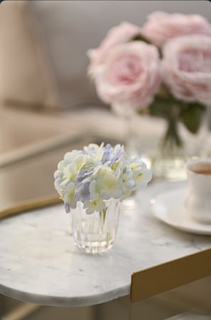 هدرنجا أزرق سماوي | ملمس طبيعي