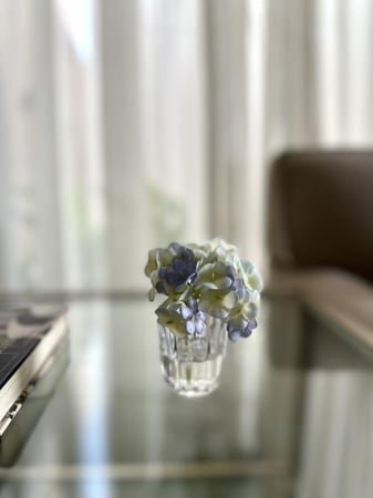 هدرنجا أزرق سماوي | ملمس طبيعي