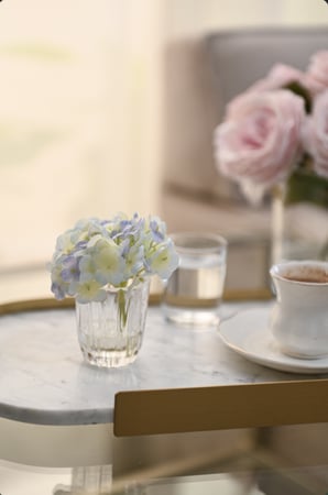 هدرنجا أزرق سماوي | ملمس طبيعي