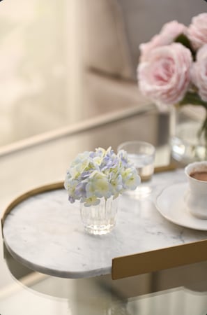 هدرنجا أزرق سماوي | ملمس طبيعي