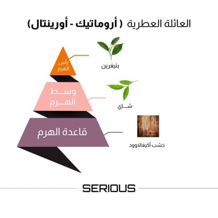 عطر رجالي سيريس 100 مل - الماجد للعود بالسعودية