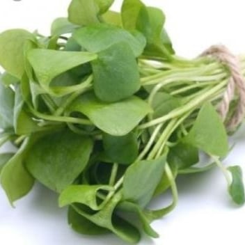 رجلة شدة (مزارع محلية)