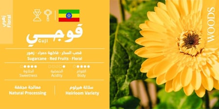 بوكس الأصالة | Asala Box