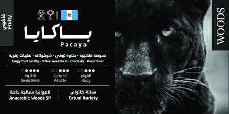 قهوة غواتيمالا باكايا – 1 كيلو | Guatemala Pacaya Coffee – 1 kg