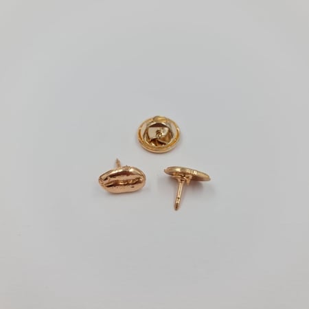 بروشات بُن القهوة