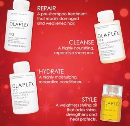 Olaplex Healthy Hair Essentials Kit