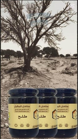 عسل طلح
