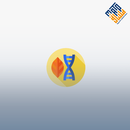 طريق العلاج بالسوجوك