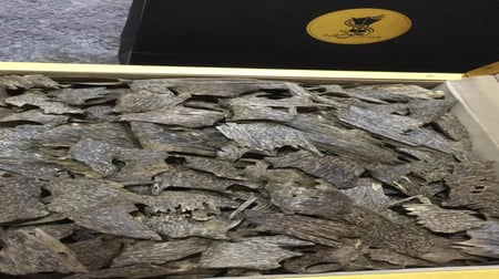 زوايا الكمبودي تربل وأعلى سواد طبيعي