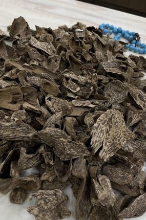 عود سيلاني دبل وتربل