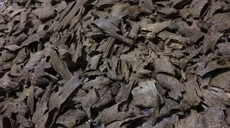 زوايا الكمبودي تربل وأعلى سواد طبيعي