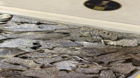 زوايا الكمبودي تربل وأعلى سواد طبيعي