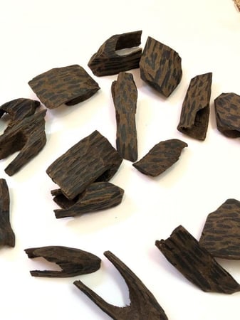 تايقر سيوفي فاخر