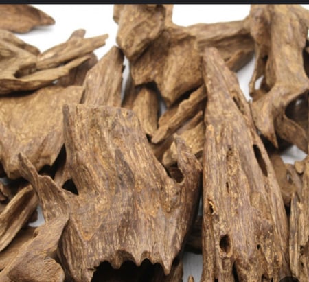 كايوهيدك(مروكي حي) سوبر مرتفع مع سوبر التوله