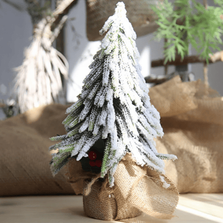 شجرة الصنوبر مع الثلج