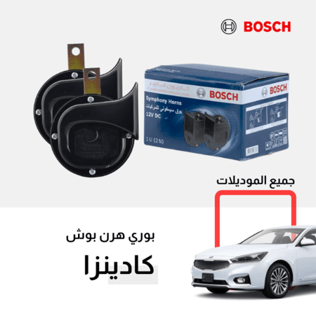 بوري كادينزا