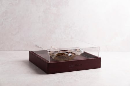 مورانو بقاعدة جلد  (بدون تشوكوليت)