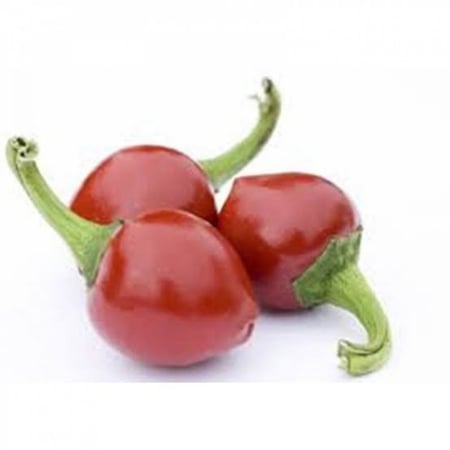 بذور فلفل كرزي حار ( Capsicum annuum )