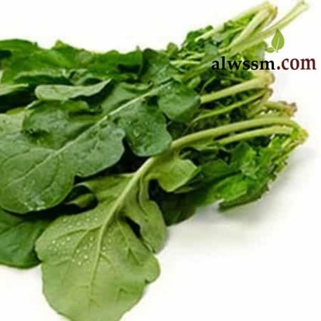 بذور الجرجير (Eruca Sativa)