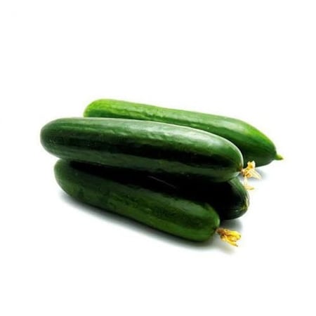 بذور الخيار ( Cucumis sativus )
