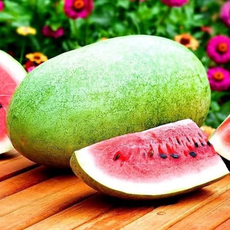 بذور بطيخ أحمر أسطواني (   Citrullus lanatus )