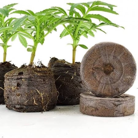 10 أقراص البيتموس المضغوط ( Jiffy Peat Pellets )