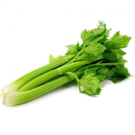 بذور الكرفس ( Apium graveolens )