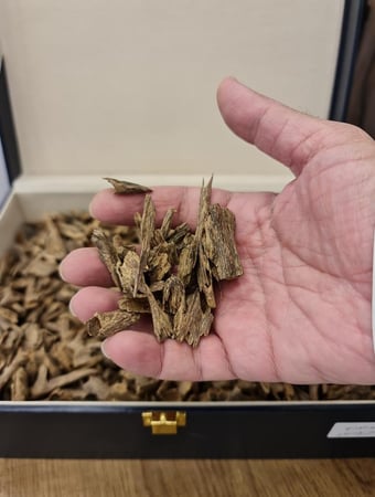 بولو موري دبل سوبر