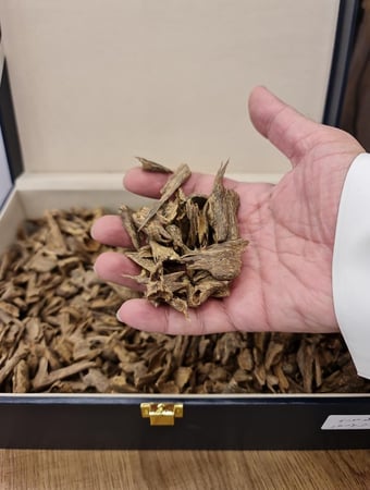 بولو موري دبل سوبر